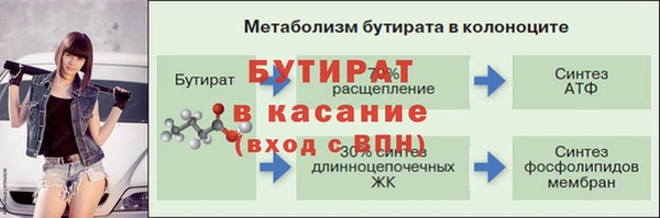 ПСИЛОЦИБИНОВЫЕ ГРИБЫ Горно-Алтайск